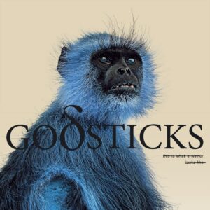 godsticks_this-is-what-a-winner-looks-like_cover