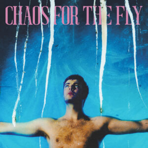grian-chatten-chaos-for-the-fly-cover