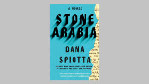 Lauter lesen –  Dana Spiotta &#8211; Stone Arabia