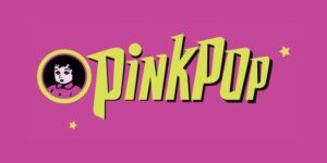 Pinkpop Festival: Kleinbus fährt in Personengruppe, ein Toter und drei Verletzte