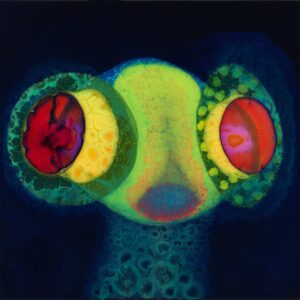 osees sorcs 80 cover
