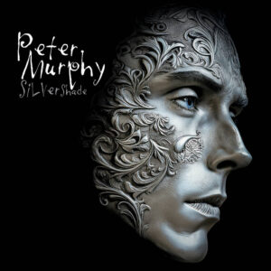 peter-murphy-silver-shade