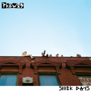 Pkew Pkew Pkew Siiick Days Cover