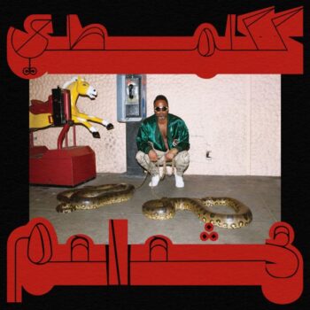 Shabazz Palaces - Robed In Rareness