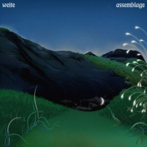 weite_assemblage_cover